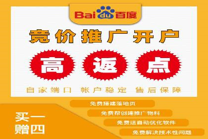 搜索引擎推广的佼佼者——百度搜索推广案例